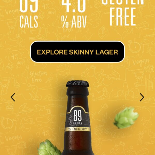 בירה סקיני ללא גלוטן מארז 12 בקבוקים